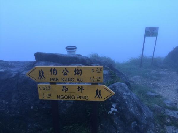 云南特产有哪些